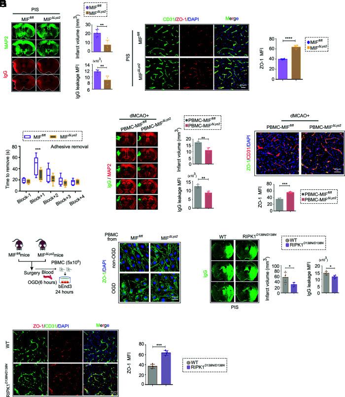 https://cdn.ncbi.nlm.nih.gov/pmc/blobs/fe07/9945963/85139a2c561c/pnas.2219091120fig05.jpg