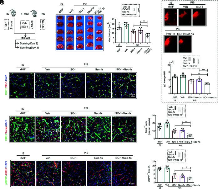 https://cdn.ncbi.nlm.nih.gov/pmc/blobs/fe07/9945963/853bbef6f08e/pnas.2219091120fig06.jpg