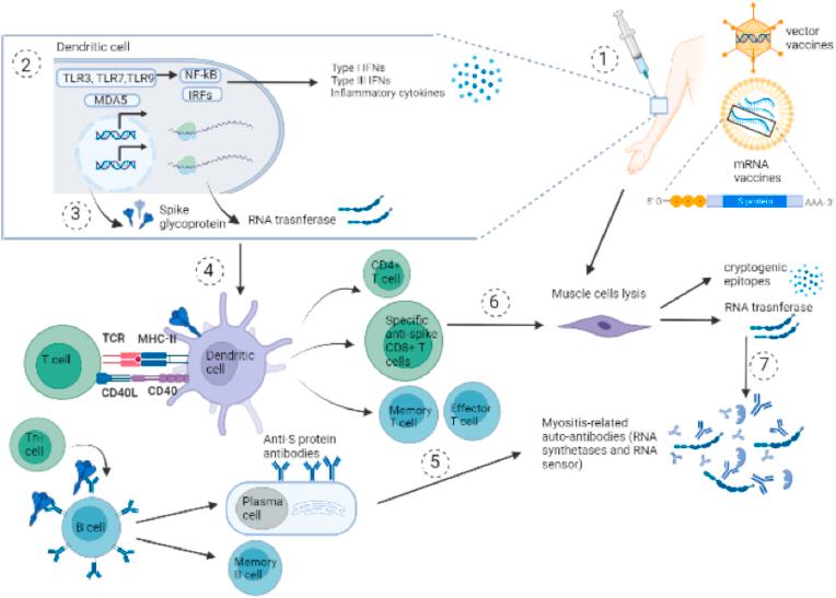 https://cdn.ncbi.nlm.nih.gov/pmc/blobs/fe0a/9251718/ef2411039a37/gr3.jpg