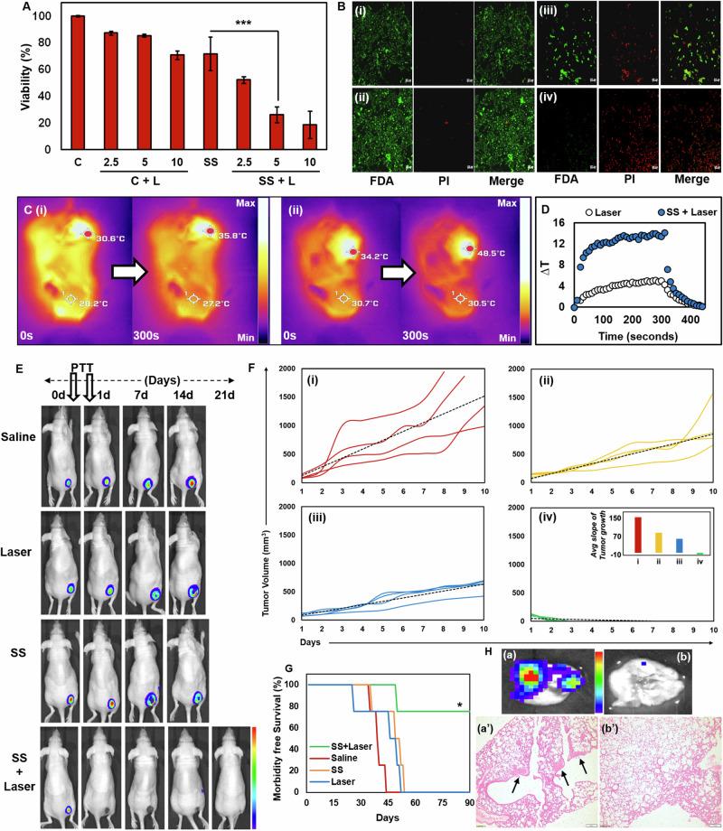 https://cdn.ncbi.nlm.nih.gov/pmc/blobs/fe0c/11464763/161ea107b889/42004_2024_1317_Fig6_HTML.jpg