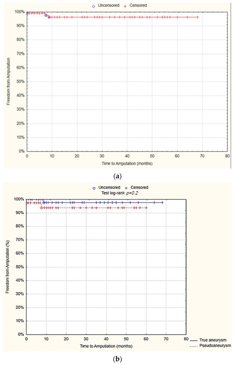 https://cdn.ncbi.nlm.nih.gov/pmc/blobs/fe0f/11312855/2162a7a5c9ad/jcm-13-04323-g004.jpg