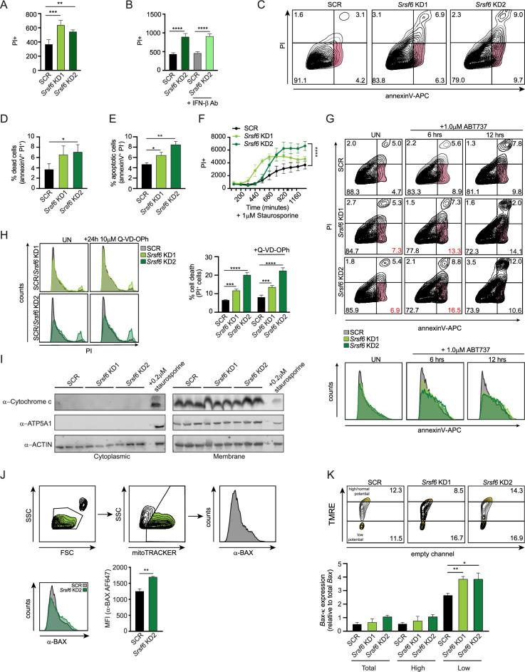 https://cdn.ncbi.nlm.nih.gov/pmc/blobs/fe0f/9718523/04cb218c2fdc/elife-82244-fig4.jpg