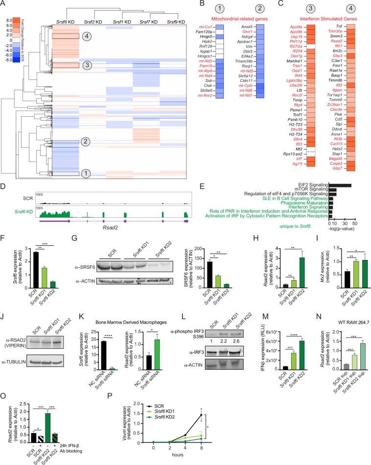 https://cdn.ncbi.nlm.nih.gov/pmc/blobs/fe0f/9718523/09cb2b65bc11/elife-82244-fig1.jpg