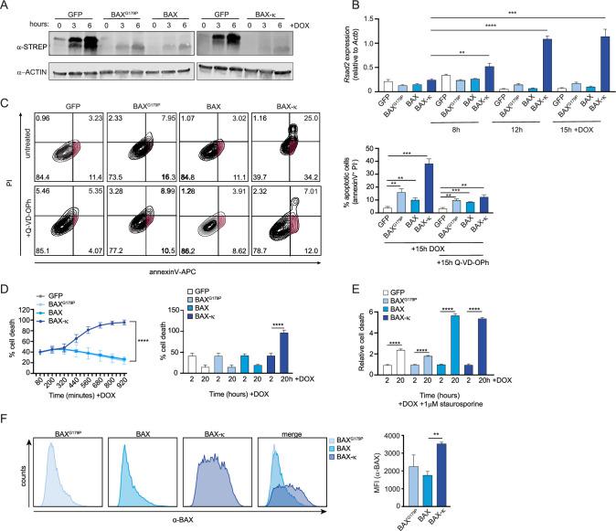 https://cdn.ncbi.nlm.nih.gov/pmc/blobs/fe0f/9718523/1ebafc276f42/elife-82244-fig5.jpg