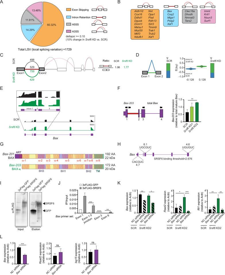 https://cdn.ncbi.nlm.nih.gov/pmc/blobs/fe0f/9718523/6cb3c0aec311/elife-82244-fig3.jpg