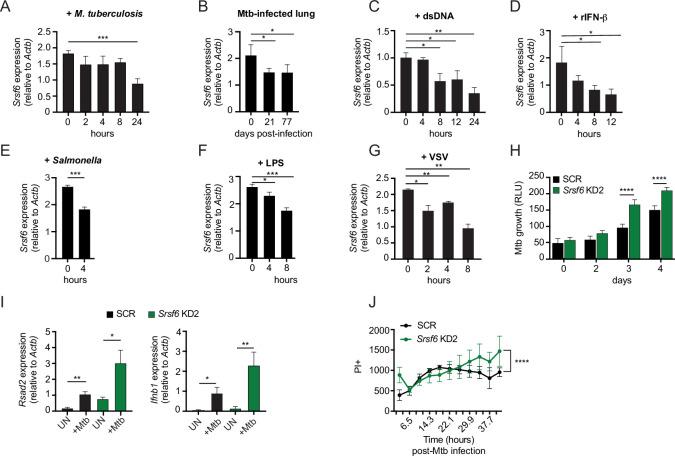 https://cdn.ncbi.nlm.nih.gov/pmc/blobs/fe0f/9718523/b7c5b23a7dc3/elife-82244-fig7.jpg