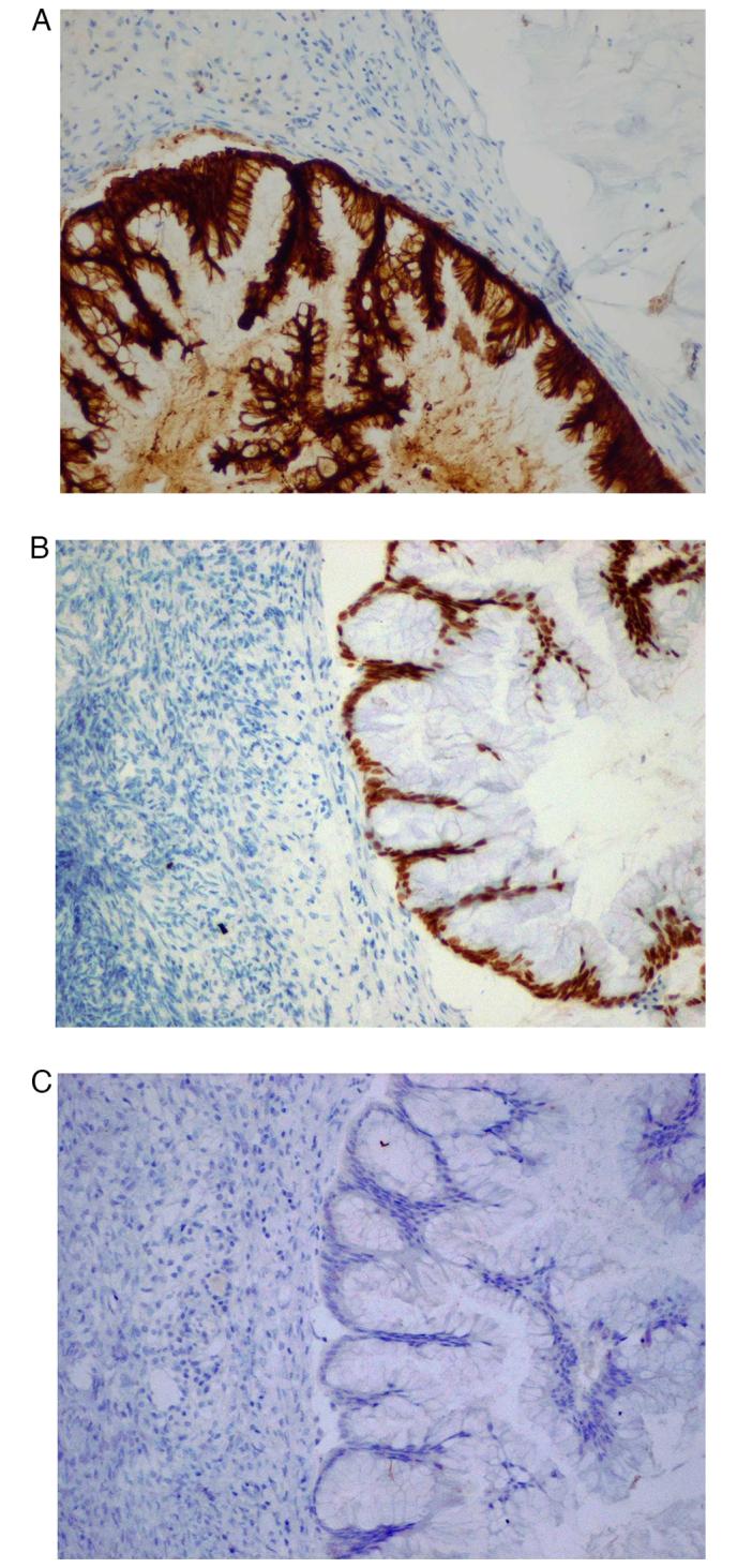 https://cdn.ncbi.nlm.nih.gov/pmc/blobs/fe10/11369849/35ed36241be4/ol-28-05-14633-g03.jpg