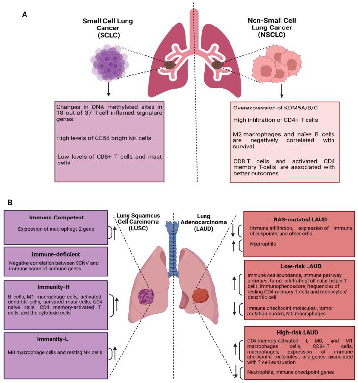 https://cdn.ncbi.nlm.nih.gov/pmc/blobs/fe12/12027673/335e0dbd8b82/ijms-26-03818-g003.jpg