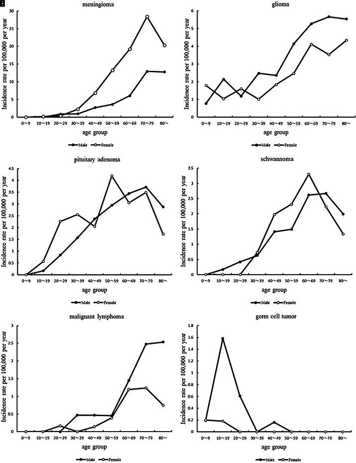 https://cdn.ncbi.nlm.nih.gov/pmc/blobs/fe12/8365235/3f179d2b74bc/nmc-61-492-g2.jpg