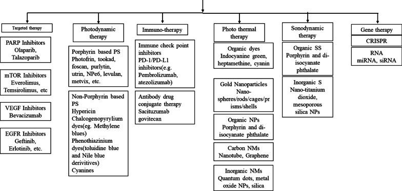 https://cdn.ncbi.nlm.nih.gov/pmc/blobs/fe13/10920615/8d6224f3d30a/11671_2024_3985_Fig2_HTML.jpg