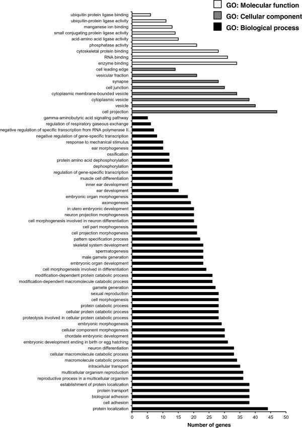 https://cdn.ncbi.nlm.nih.gov/pmc/blobs/fe13/4078242/17c8b5f95e1c/12864_2013_6173_Fig4_HTML.jpg