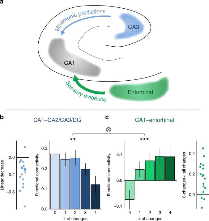 https://cdn.ncbi.nlm.nih.gov/pmc/blobs/fe14/7351776/4ee2ff058b82/41467_2020_17287_Fig2_HTML.jpg