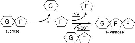 https://cdn.ncbi.nlm.nih.gov/pmc/blobs/fe15/2709226/7f406c7d9790/11103_2008_9404_Fig1_HTML.jpg