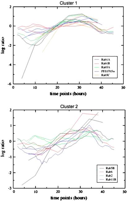 https://cdn.ncbi.nlm.nih.gov/pmc/blobs/fe18/3317772/fd7264679072/gr2.jpg