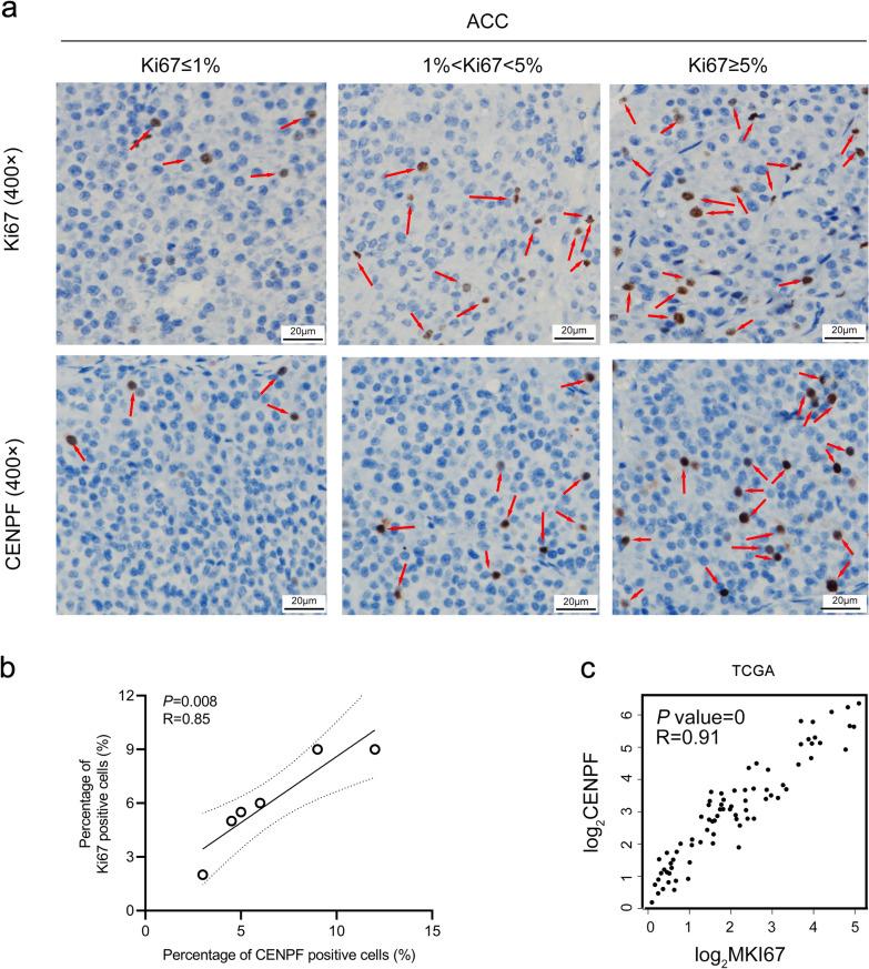https://cdn.ncbi.nlm.nih.gov/pmc/blobs/fe18/8818156/5a16f650500c/12967_2022_3277_Fig2_HTML.jpg