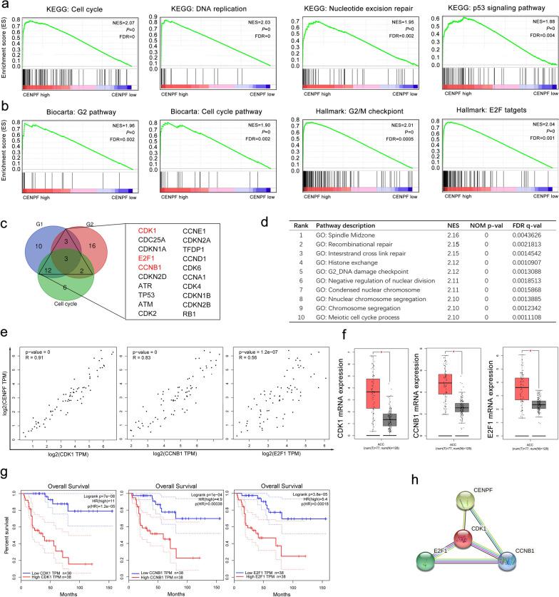 https://cdn.ncbi.nlm.nih.gov/pmc/blobs/fe18/8818156/fbfb06b15ba9/12967_2022_3277_Fig5_HTML.jpg