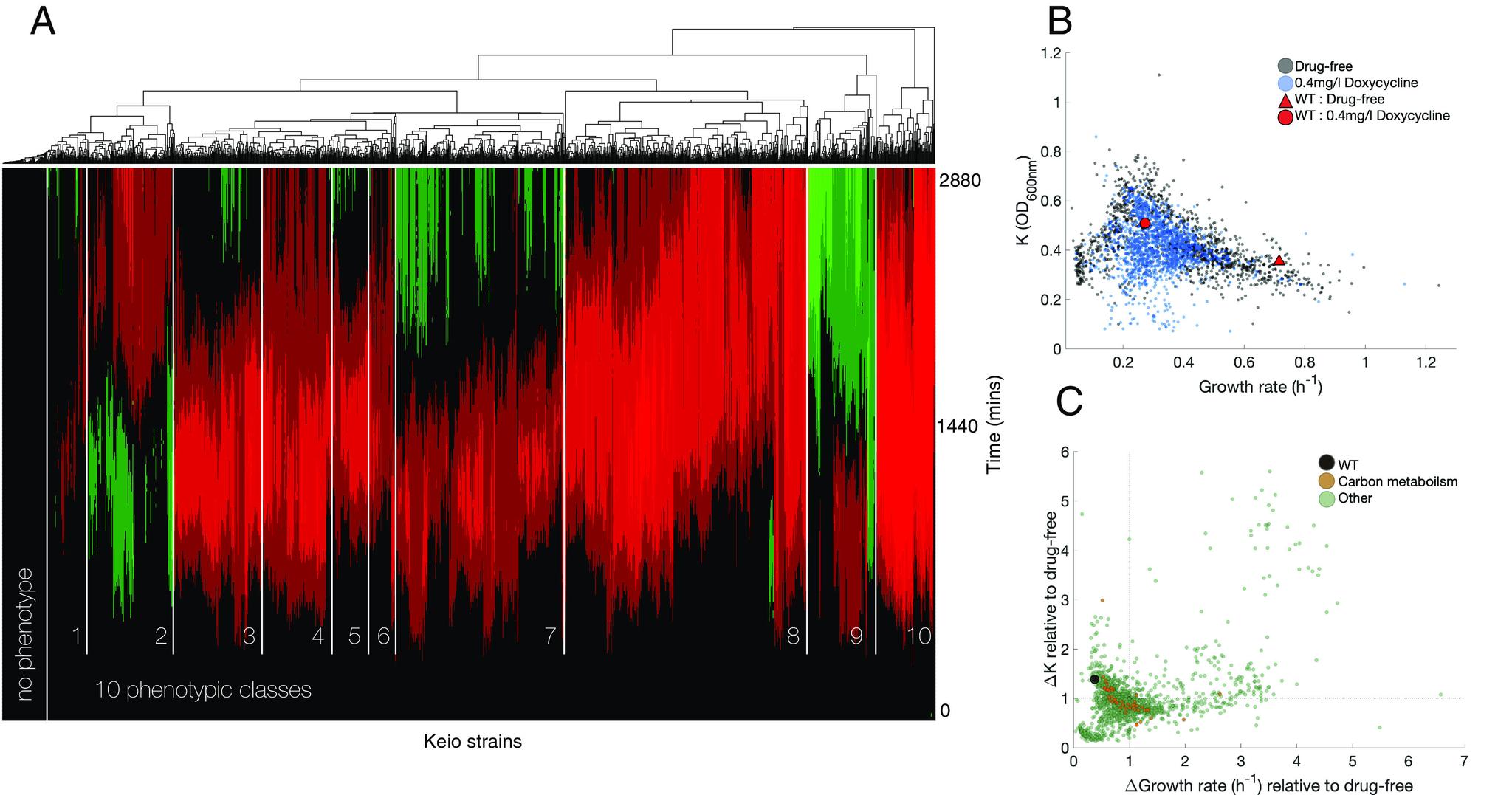 https://cdn.ncbi.nlm.nih.gov/pmc/blobs/fe1b/10556576/499558bb1624/pnas.2221507120fig06.jpg