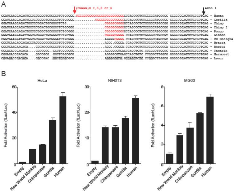 https://cdn.ncbi.nlm.nih.gov/pmc/blobs/fe1d/9323761/c154432f2636/genes-13-01195-g007.jpg