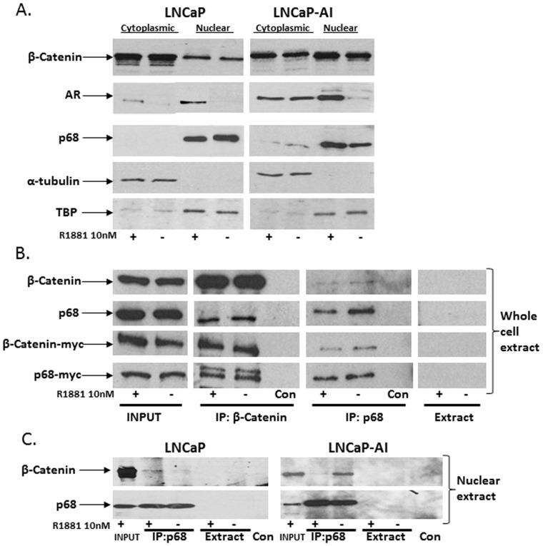 https://cdn.ncbi.nlm.nih.gov/pmc/blobs/fe1e/3547877/aa786faacb2d/pone.0054150.g001.jpg