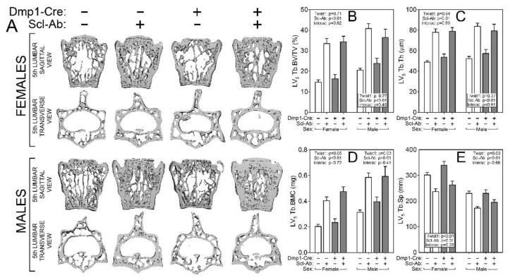 https://cdn.ncbi.nlm.nih.gov/pmc/blobs/fe1f/6769567/44d35be74a90/ijms-20-04427-g004.jpg