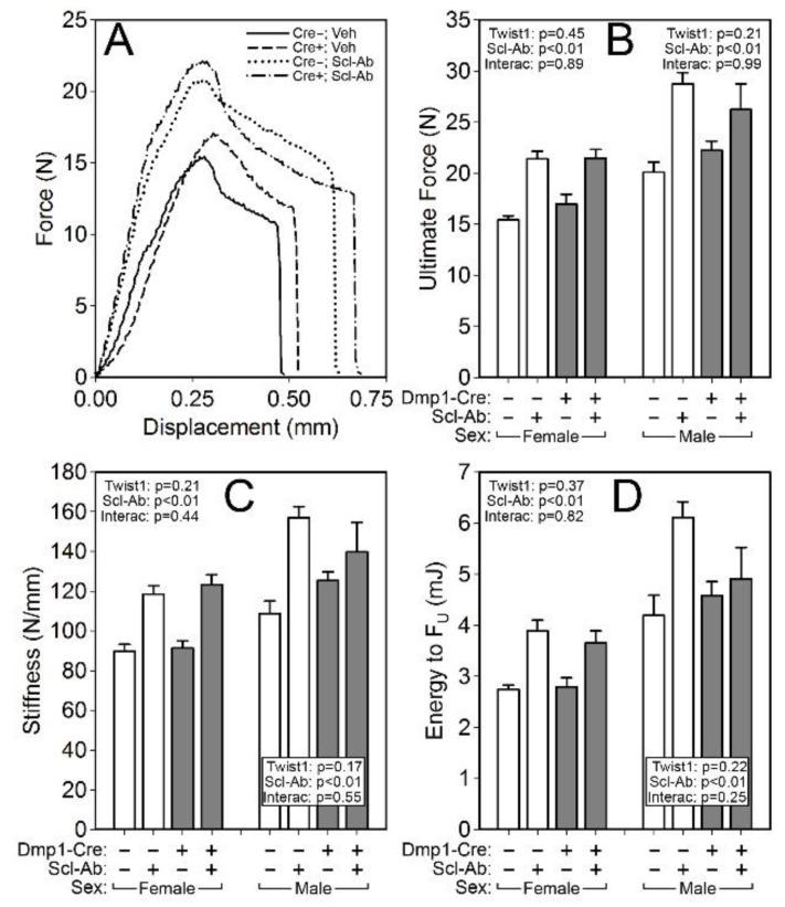https://cdn.ncbi.nlm.nih.gov/pmc/blobs/fe1f/6769567/8705097a7062/ijms-20-04427-g005.jpg