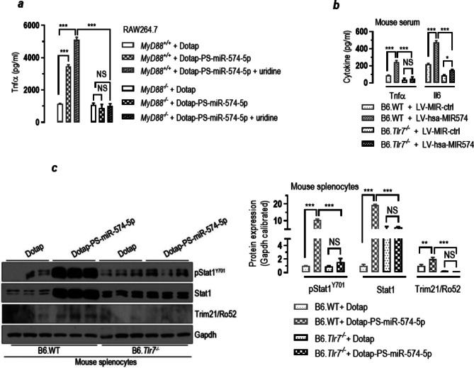 https://cdn.ncbi.nlm.nih.gov/pmc/blobs/fe20/11000404/42640dd14132/12964_2024_1601_Fig4_HTML.jpg