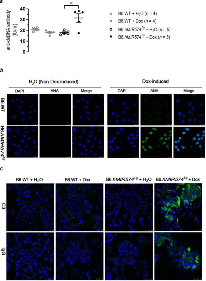 https://cdn.ncbi.nlm.nih.gov/pmc/blobs/fe20/11000404/ab3d16ebee36/12964_2024_1601_Fig7_HTML.jpg