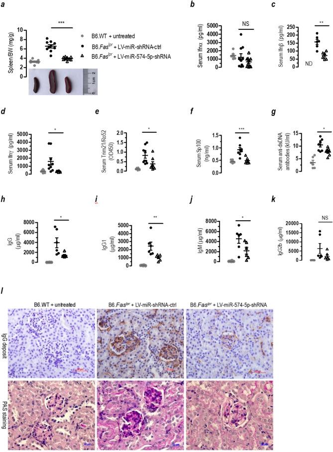 https://cdn.ncbi.nlm.nih.gov/pmc/blobs/fe20/11000404/e8c67f648b79/12964_2024_1601_Fig9_HTML.jpg