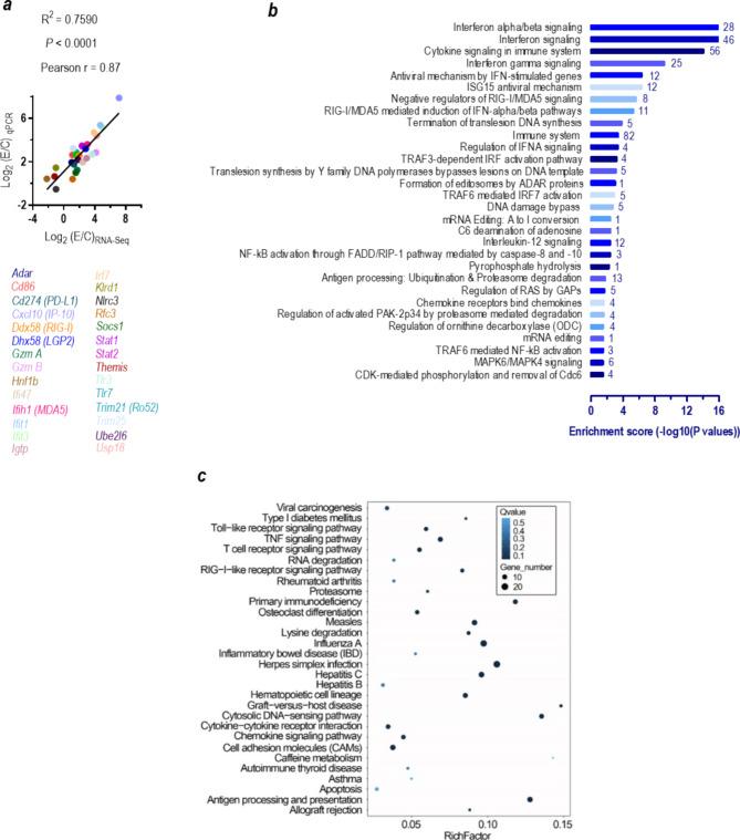 https://cdn.ncbi.nlm.nih.gov/pmc/blobs/fe20/11000404/ebe4ab7b0565/12964_2024_1601_Fig5_HTML.jpg
