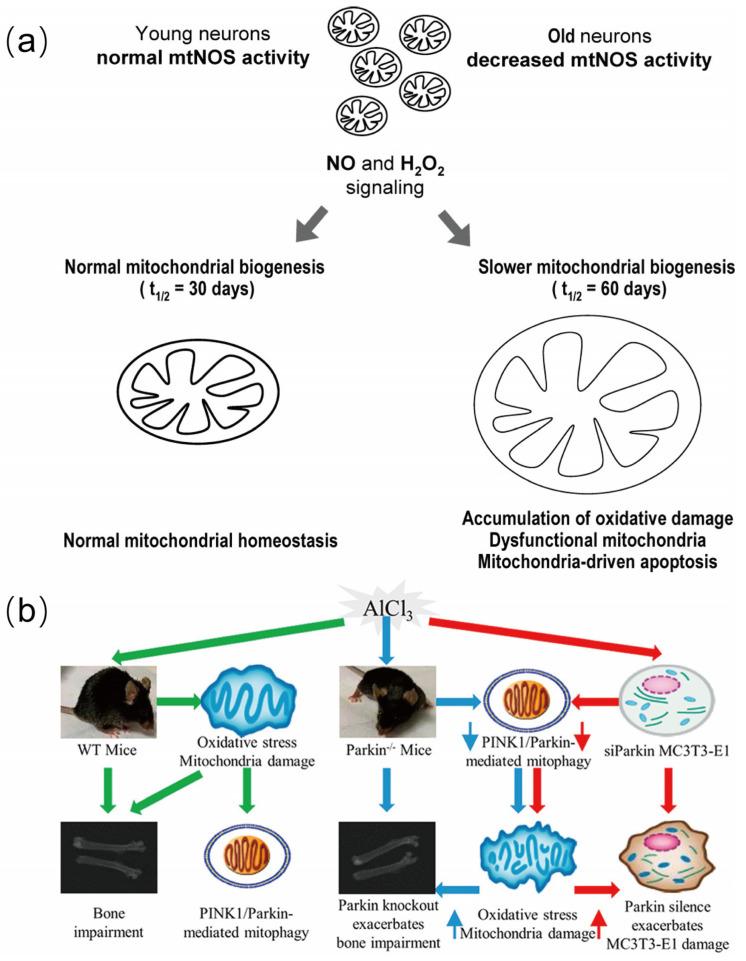 https://cdn.ncbi.nlm.nih.gov/pmc/blobs/fe20/12024821/f6850ed11142/biosensors-15-00242-g005.jpg