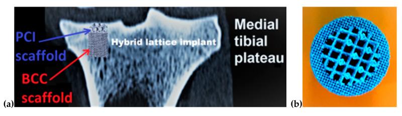 https://cdn.ncbi.nlm.nih.gov/pmc/blobs/fe20/7560298/422cee8c7df3/materials-13-04123-g009.jpg