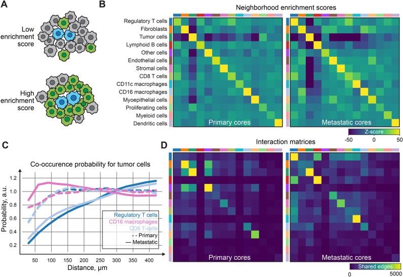 https://cdn.ncbi.nlm.nih.gov/pmc/blobs/fe21/10904364/0d9b32475c8f/41598_2024_55387_Fig5_HTML.jpg