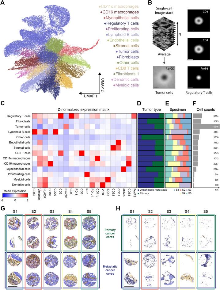 https://cdn.ncbi.nlm.nih.gov/pmc/blobs/fe21/10904364/6fe98dbf87e4/41598_2024_55387_Fig4_HTML.jpg