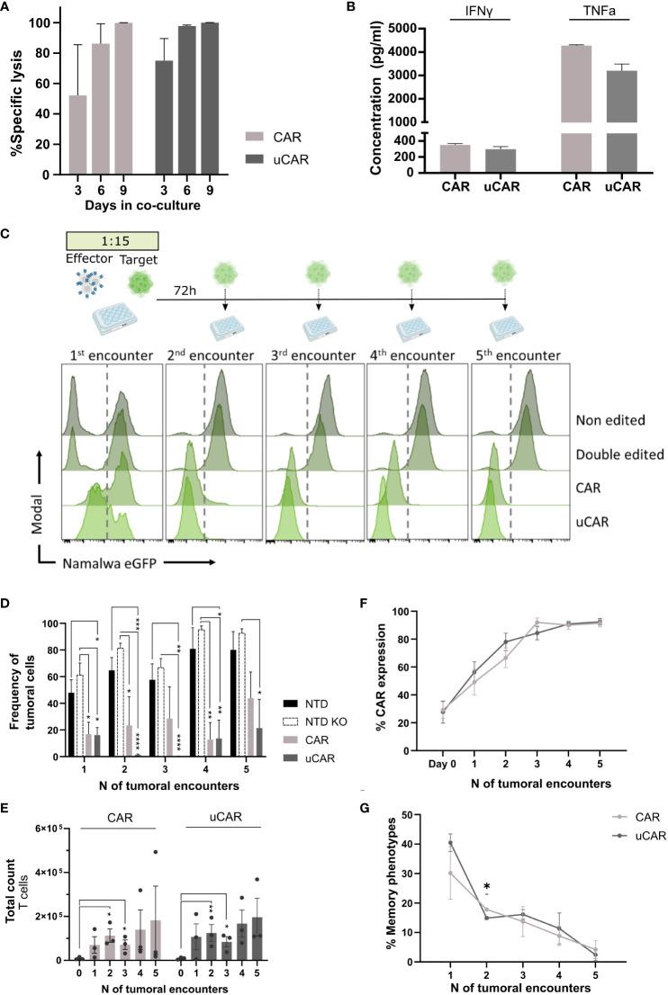 https://cdn.ncbi.nlm.nih.gov/pmc/blobs/fe21/11167079/63faa4d2e520/fimmu-15-1401683-g003.jpg