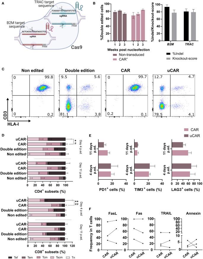 https://cdn.ncbi.nlm.nih.gov/pmc/blobs/fe21/11167079/672e30272120/fimmu-15-1401683-g001.jpg