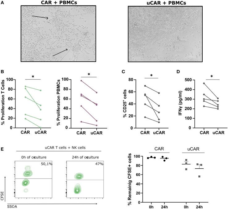 https://cdn.ncbi.nlm.nih.gov/pmc/blobs/fe21/11167079/ac5812dbf5e2/fimmu-15-1401683-g004.jpg