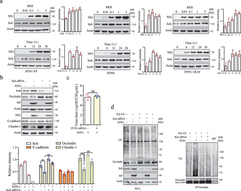 https://cdn.ncbi.nlm.nih.gov/pmc/blobs/fe21/8888635/f917c371f9a1/42003_2022_3131_Fig3_HTML.jpg