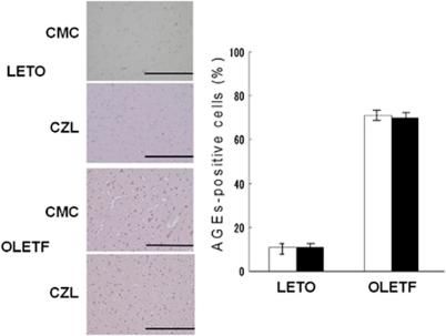 https://cdn.ncbi.nlm.nih.gov/pmc/blobs/fe23/3208148/53902e1b0e15/jcbfm201147f6.jpg