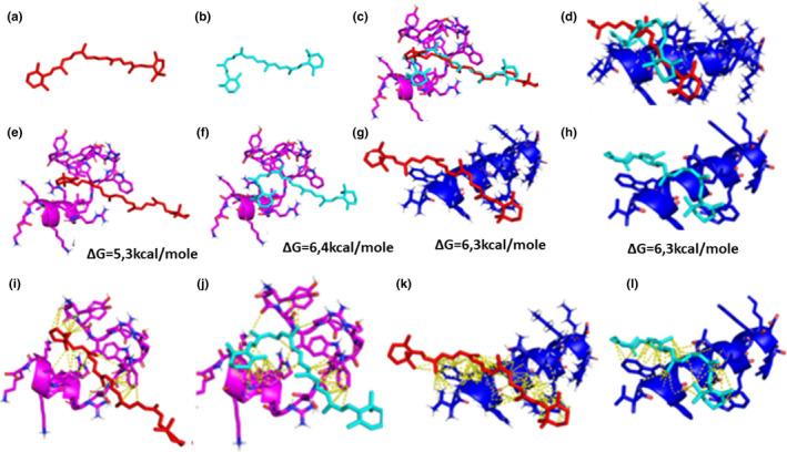 https://cdn.ncbi.nlm.nih.gov/pmc/blobs/fe24/9179151/13ef4a03b618/FSN3-10-1928-g003.jpg