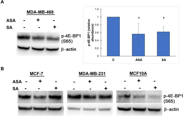 https://cdn.ncbi.nlm.nih.gov/pmc/blobs/fe25/7872862/3a9d1335dffb/CMAR-13-1123-g0002.jpg