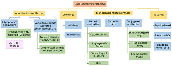 https://cdn.ncbi.nlm.nih.gov/pmc/blobs/fe26/11291200/0dc2f08f6197/fimmu-15-1333150-g005.jpg