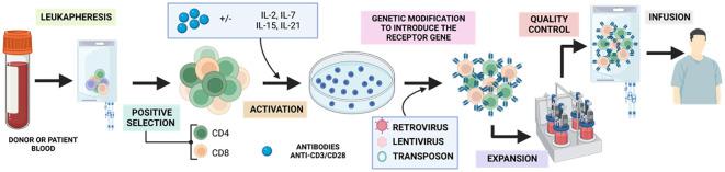 https://cdn.ncbi.nlm.nih.gov/pmc/blobs/fe26/11291200/8be9ec58ba11/fimmu-15-1333150-g009.jpg