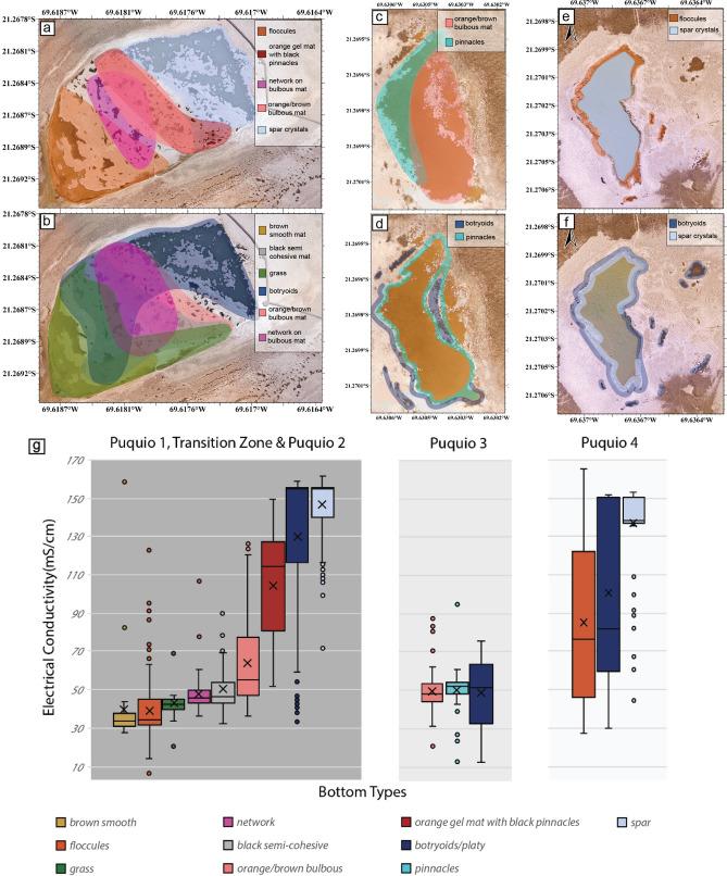 https://cdn.ncbi.nlm.nih.gov/pmc/blobs/fe27/8211675/78a02fd4c71f/41598_2021_92105_Fig5_HTML.jpg