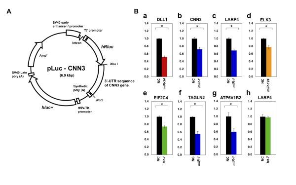 https://cdn.ncbi.nlm.nih.gov/pmc/blobs/fe29/2833159/0981fc41ec4d/1471-2164-11-101-4.jpg