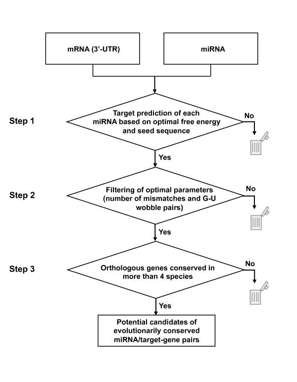 https://cdn.ncbi.nlm.nih.gov/pmc/blobs/fe29/2833159/e1d80fa7f4ad/1471-2164-11-101-1.jpg