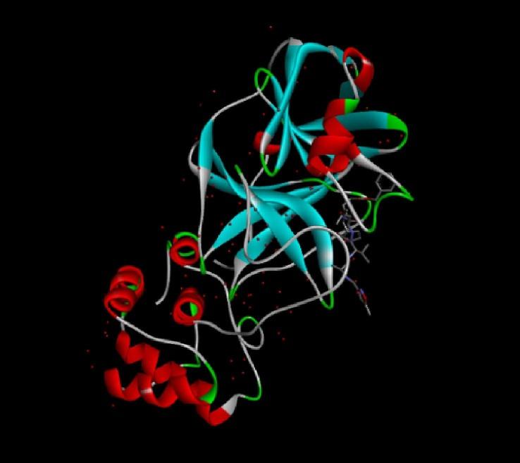 https://cdn.ncbi.nlm.nih.gov/pmc/blobs/fe2a/7977011/484c7f9bf856/gr4_lrg.jpg