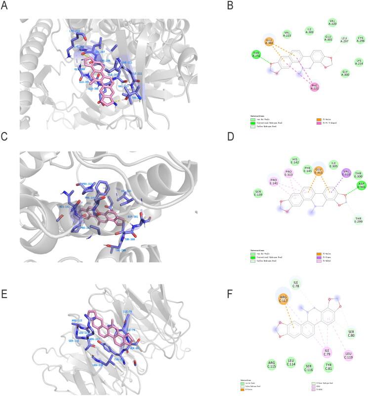 https://cdn.ncbi.nlm.nih.gov/pmc/blobs/fe2b/10128503/cc4a6c08ea0d/IPHB_A_2200787_F0004_C.jpg