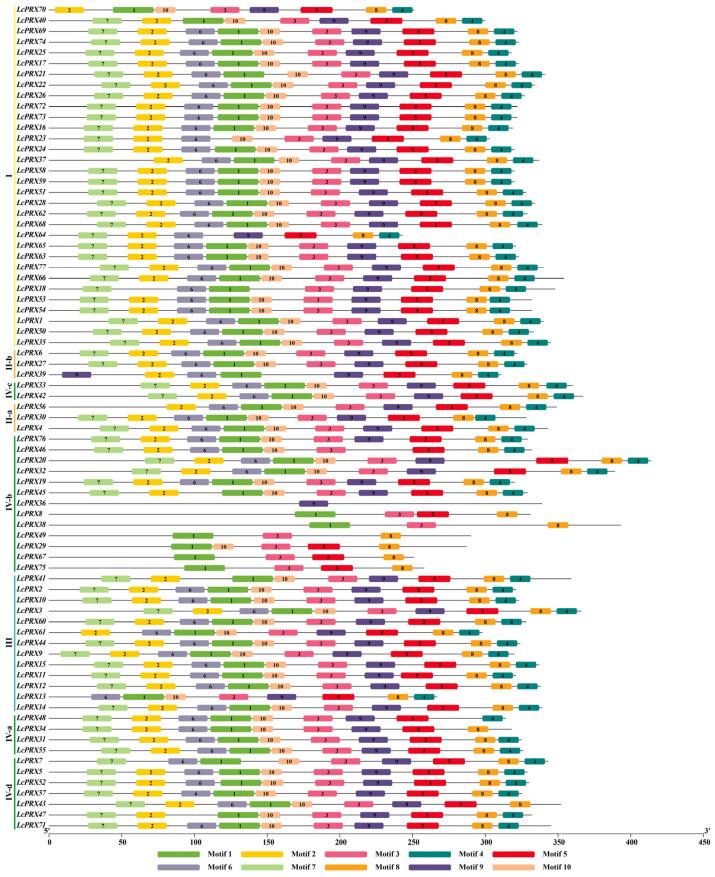 https://cdn.ncbi.nlm.nih.gov/pmc/blobs/fe2d/11172018/09afc728f2fb/ijms-25-05804-g003.jpg