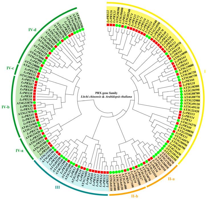 https://cdn.ncbi.nlm.nih.gov/pmc/blobs/fe2d/11172018/626c6fa2273d/ijms-25-05804-g001.jpg