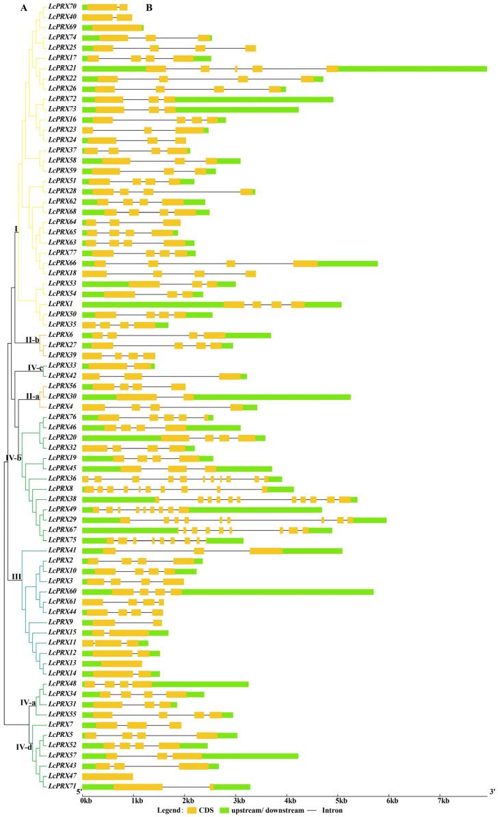 https://cdn.ncbi.nlm.nih.gov/pmc/blobs/fe2d/11172018/6de63cfa4701/ijms-25-05804-g002.jpg